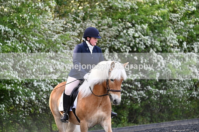 WJ7_7998 - Time 10:11 to 10:27