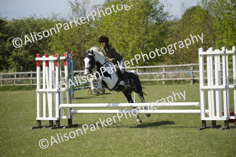20250427-2280 - Class 13 - Novice Jumping 60cm