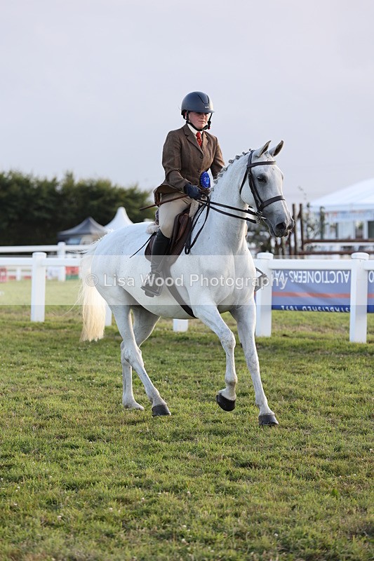 JPP_3769 - Working Hunter Championship