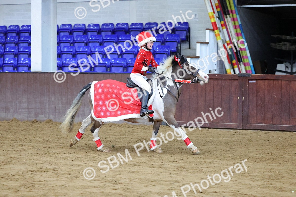 SBM_000118 - Class 1 - Show Jumping 50cm