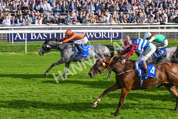 111025-Race 2-Grey Cuban-8339 - Race 2 Coral 'Pipped At The Post' Handicap at York