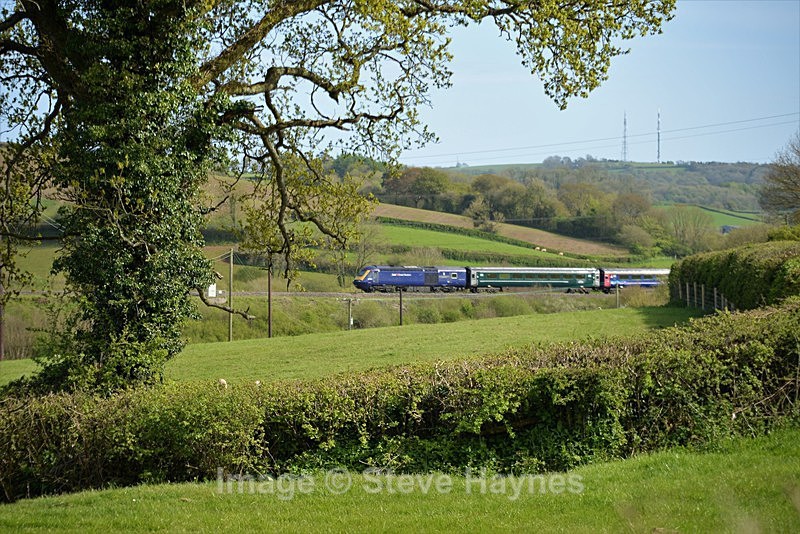 3rd May 2018 - Dainton Bank, Devon