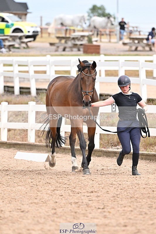 250716-154347-02168 - Trot Up 3.30 to 4.30