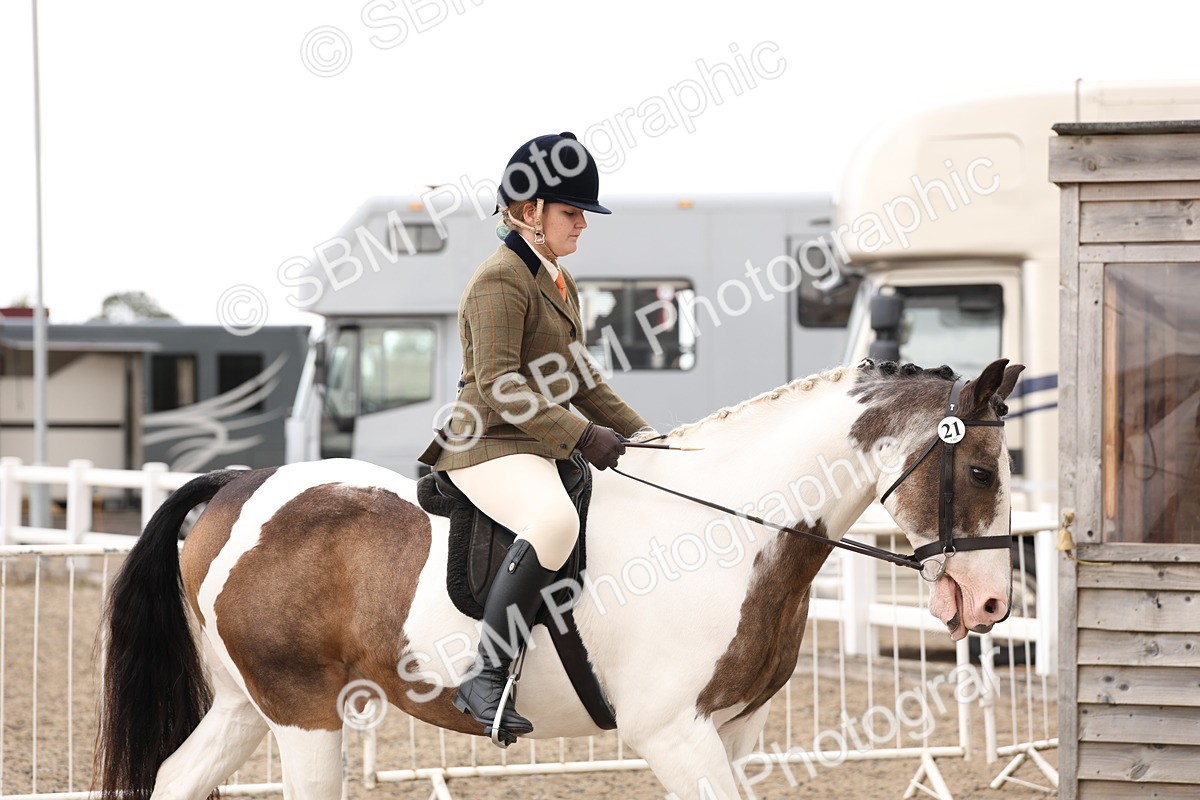 SBM_04162 - Class 54 - Riding Club Horse/Pony