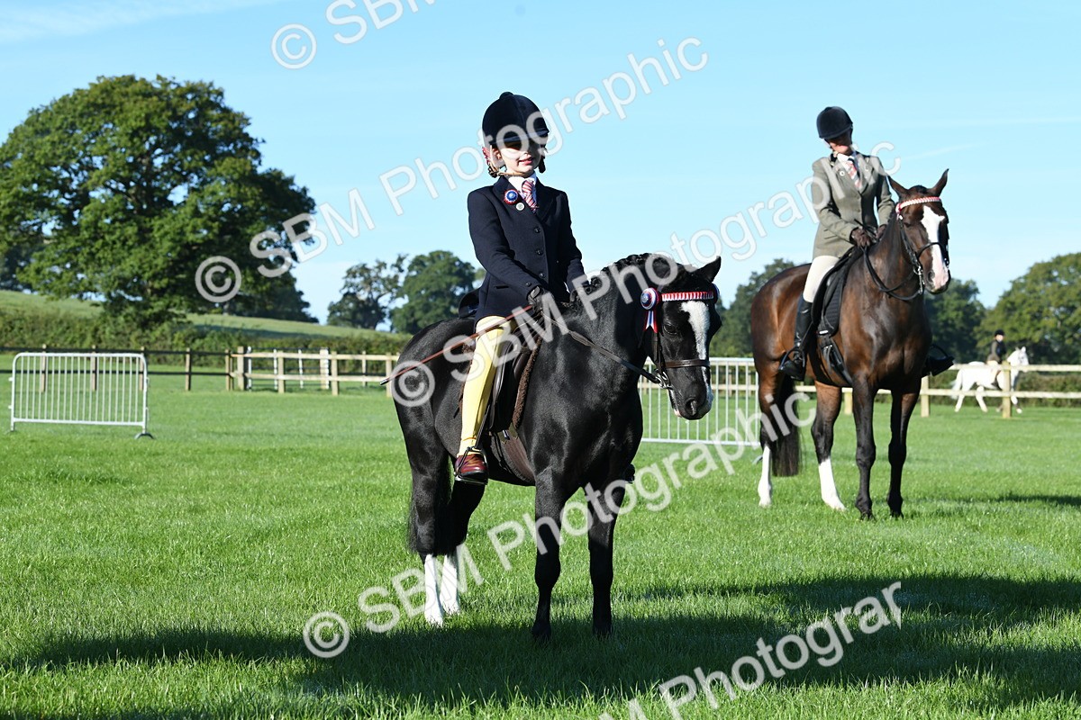 SBM_34032 - S16 - Condition & Turnout - Ridden