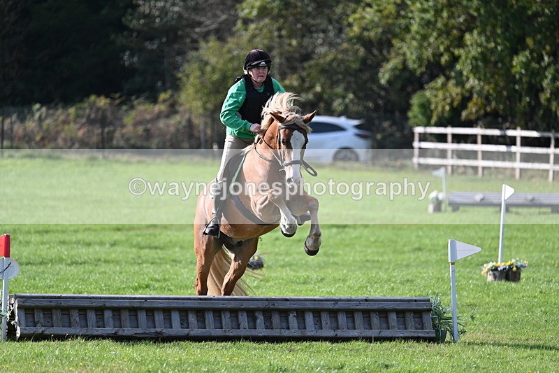 WJ7_3462 - 40cm Time 10:08 to 10:25