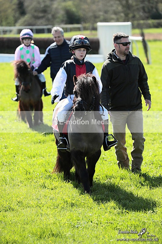 Shet 060426 349 - Shetland Pony Racing Paxford Races Easter Mon 06/04/26