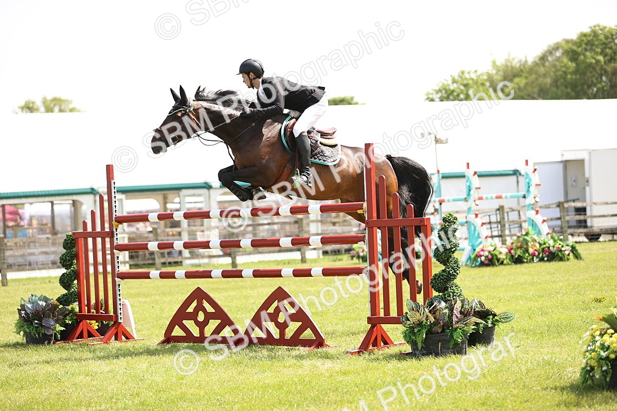 SBM_03994 - Class 201 - British Horse Feedds Speedi Beet HOYS Grade C