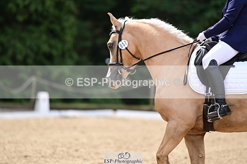 260802A-111244-05734 - Novice Silver break - break
