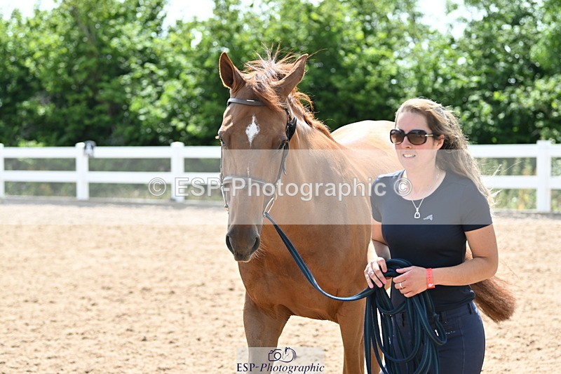 240717A-150023-02426 - Trot Up 3pm to 4pm