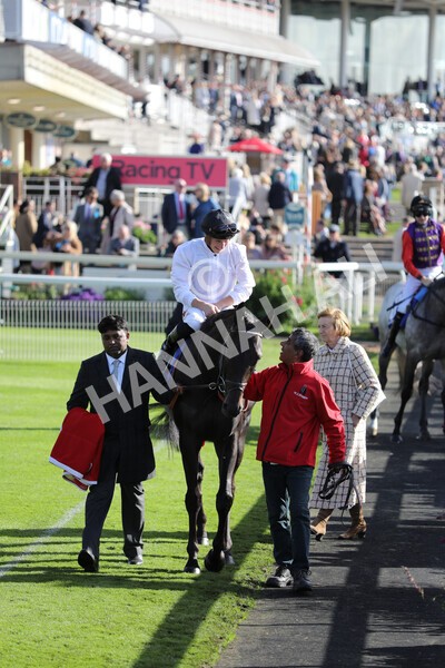 yr08102022r3-11 - Race 3 2.40pm The Coral 'Beaten-by-a-Length' Free Bet Handicap