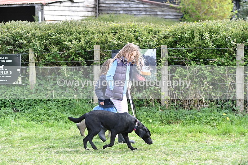 WJ5_0741 - Best in Show Championship