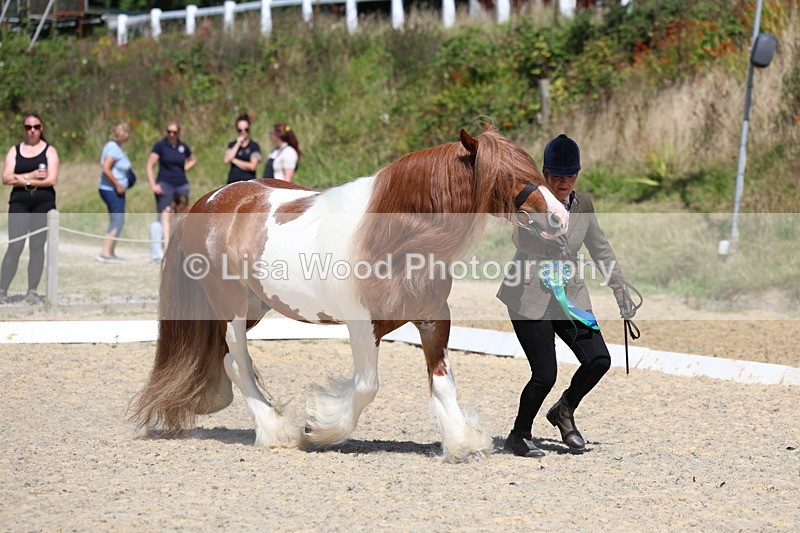 3E7A9879 - In Hand Championship