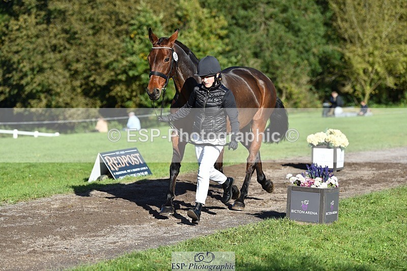 231022-105144-23550 - 466-SPARHANGER.VELVET-Tichy.Sanders-TrotUp+SJ