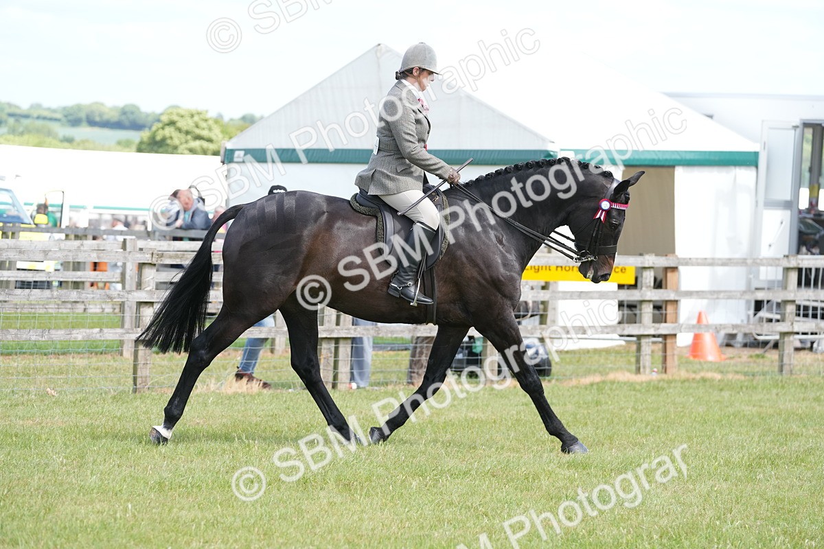 SBM_16287 - Class 105-106 - RIHS Riding Horses