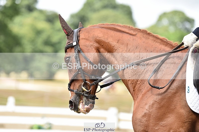 140110A-004904-10743 - 030-Harriet.Dickin-Custer.of.the.West