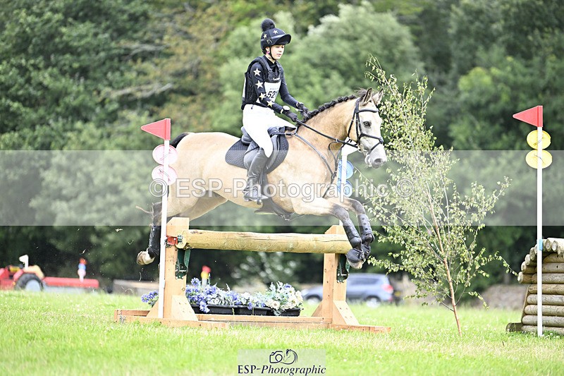 240804-134732-15291 - 521-Lily_Howell-WOODFIELD_GOLD