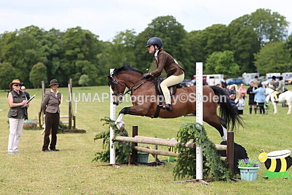 IMG_2884 - Working Hunter