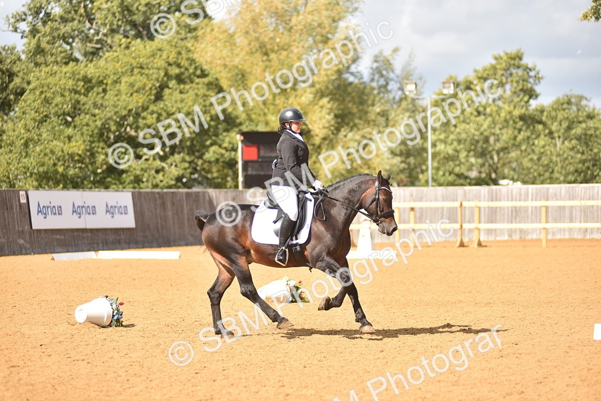 SBM_24187 - D4 - Small Tour Championship Intro 4