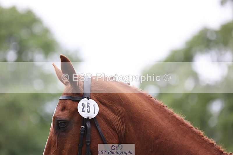 240524-090354-07048 - 251-MILESTONE_GOLD-Gaby_Bull