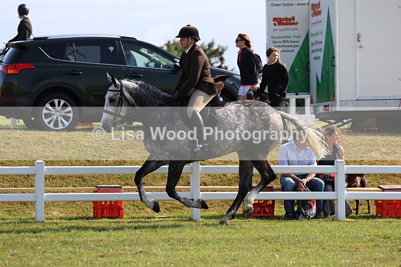 3E7A8652 - Class 3: Rising Star S/L Hunter