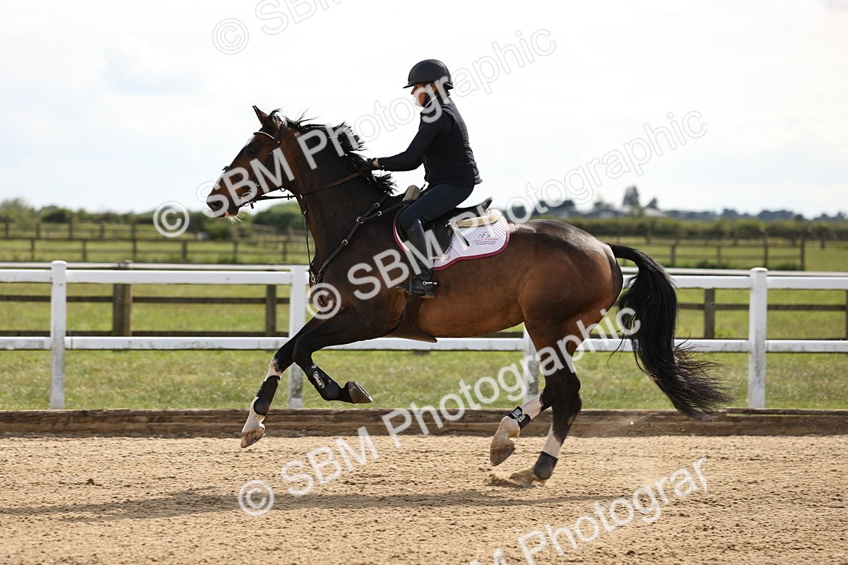 SBM_003624 - Class 13 - Senior Foxhunter - 1.20m