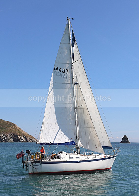 140729 SCOT FREE GBR1443T WT7A1838 - 140729 SCOT FREE GBR1443T