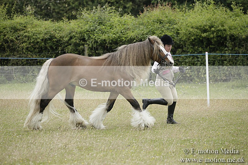B230619-0733 - Bourne Valley Riding Club Summer Show 23/06/19