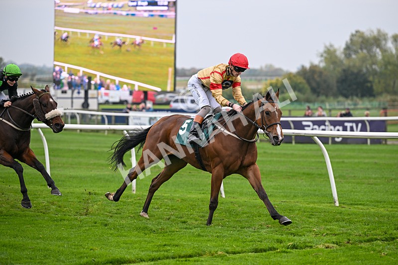 181025-Race 6-U Sure Do-1029 - Race 6