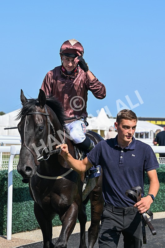 130826-Race 2-Concert Pitch-8420 - Race 2 14.45pm Welcome Racing TV Club Members Nursery Handicap
