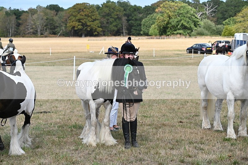 WJ6_6733 - Class 20 In-hand Cob