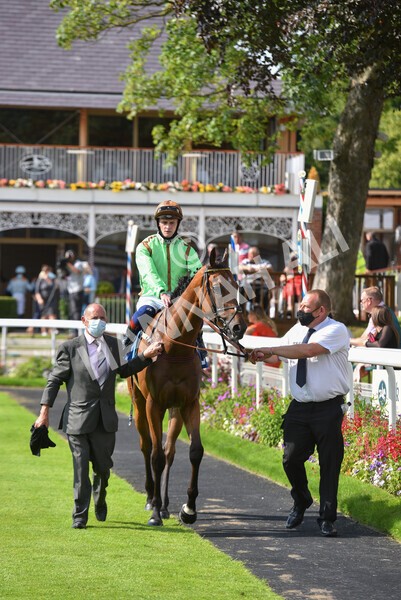 yr09072021r5-54 - Race 5: 4.20pm Garbutt + Elliott Stakes