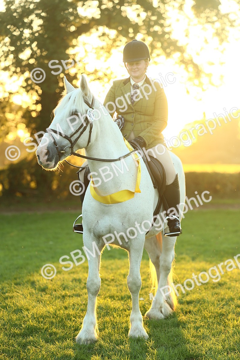 SBM_56734 - Fun & Versatile Supreme Championship