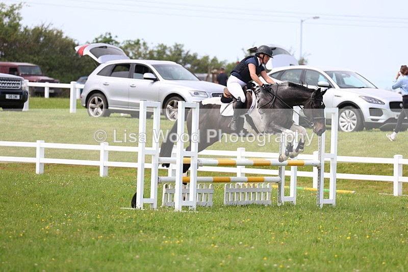 3E7A1559 - Class 13: Senior British Novice/90cm open
