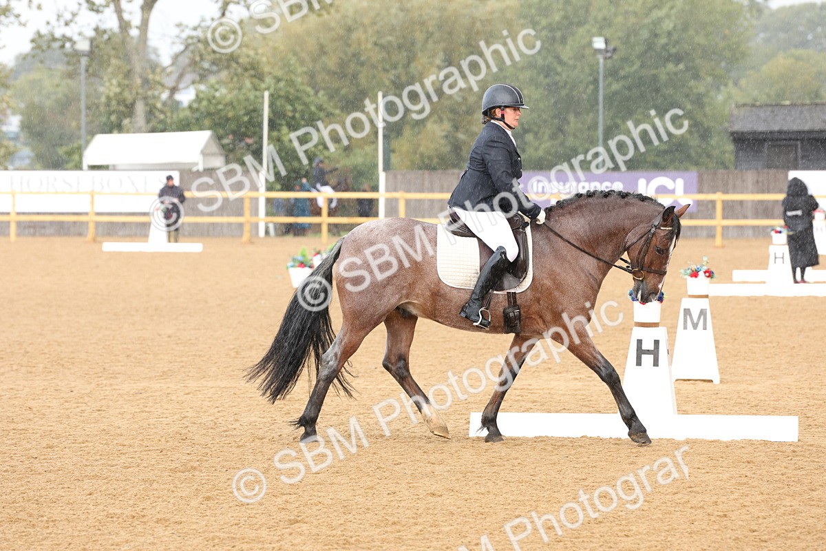 SBM_19562 - D10 - Small Tour Championship Prelim 2