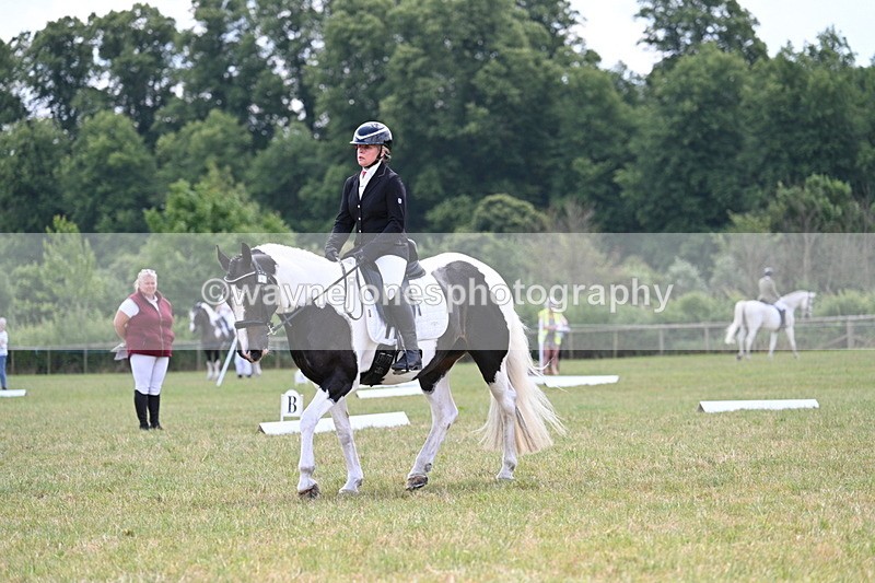 WJ7_5382 - Time 11:22 to 11:51