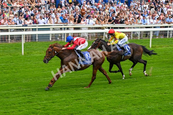 280625-Race 1-Archivist-9959 - Race 1 1.55pm Al Basti Equiworld Dubai Mile Handicap