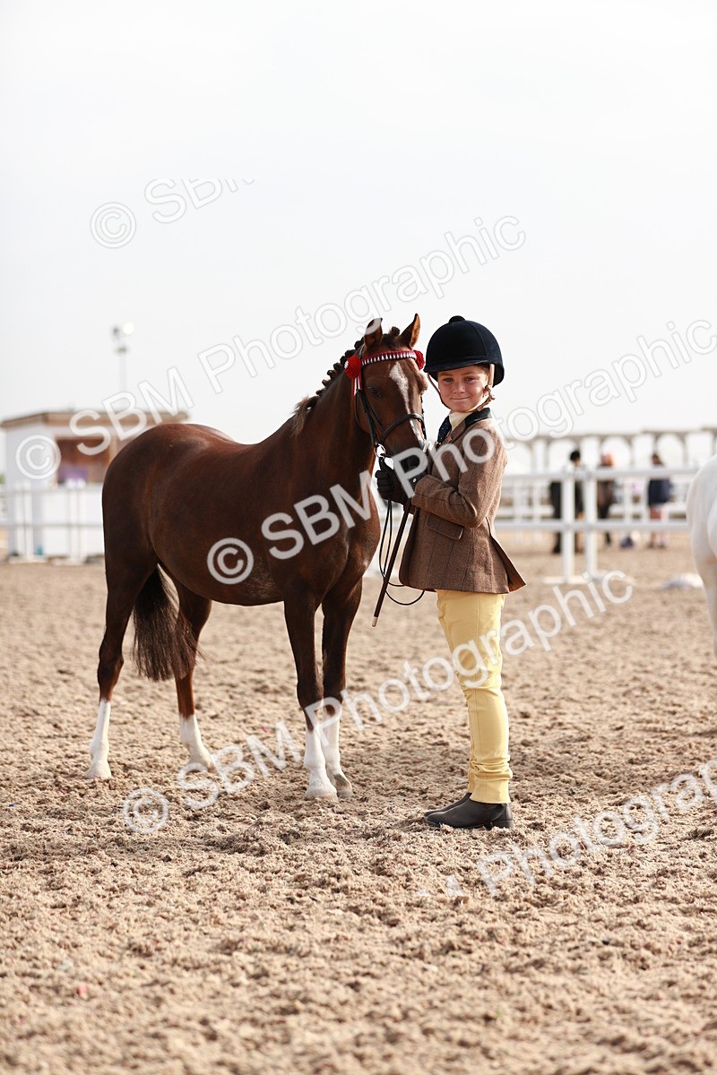 SBM_09914 - Class 203 Young Handler, 10 years and under