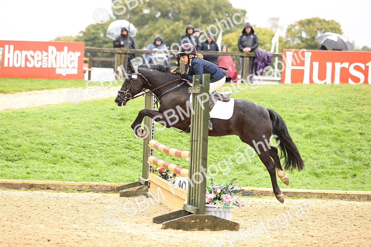 SBM_69981 - Supreme Championship 80cm 85cm
