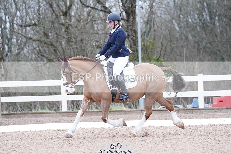 250214-094554-00066 - 167-Willow.Tarrant.Clark-Ashgrove.Wendi