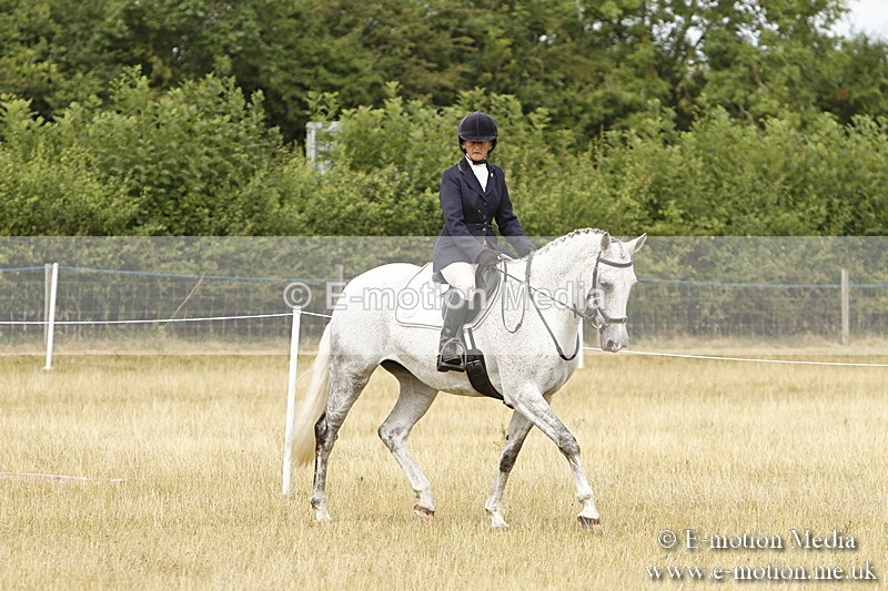 _BS_0631 - BVRC Show 2018 Ring 3