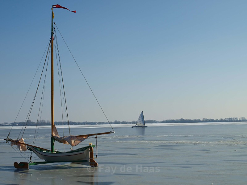  - Home in the Polder