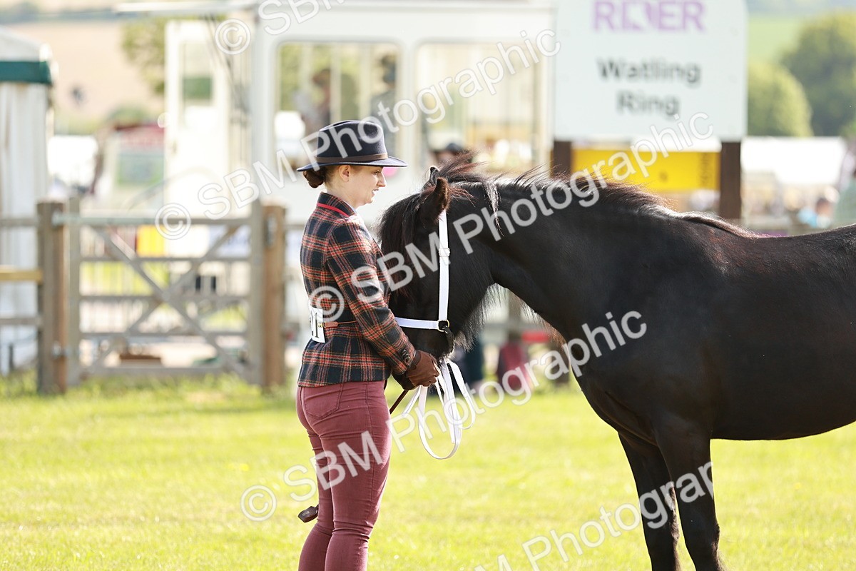 SBM_00723 - Class 14-23 - Mountain & Moorland In Hand Non Welsh