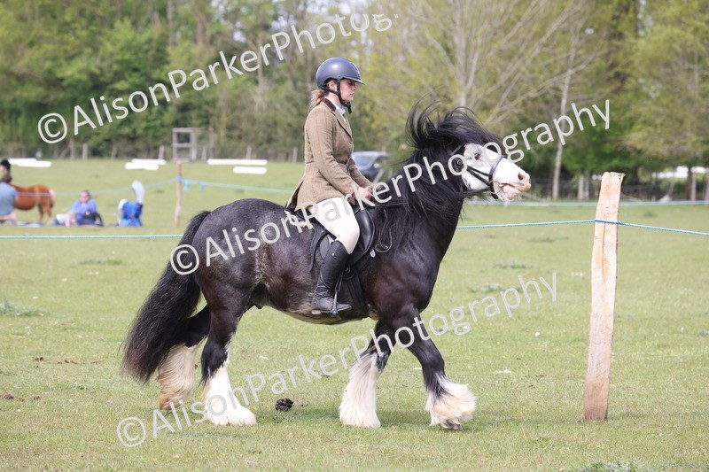 20260426-2887 - Class 33 - Best Pony 14.2hh and Under
