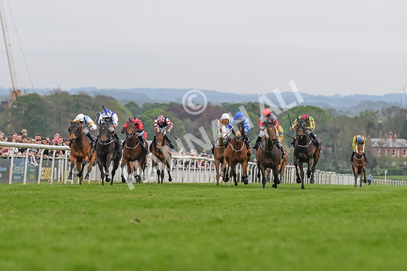 060524-Race 6-Shes Got Bottle-2375 - Race 6