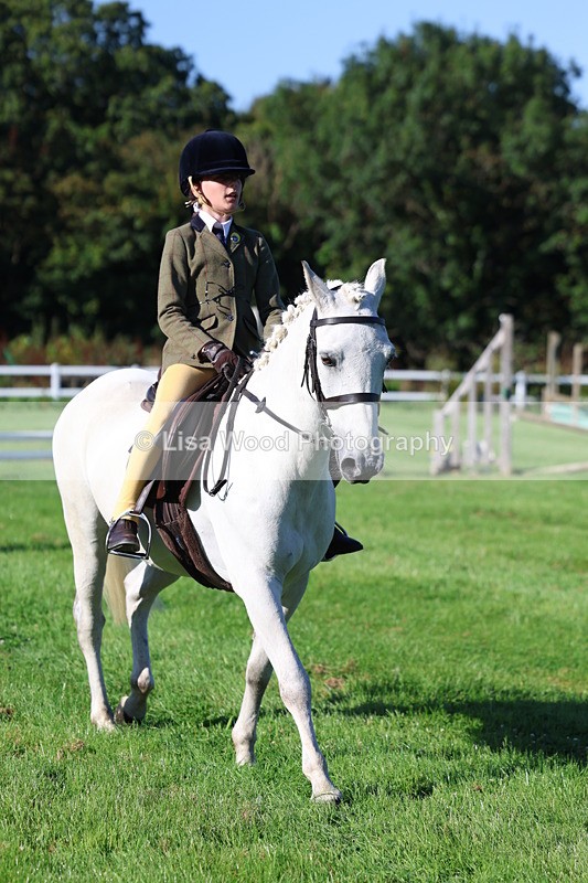 3E7A7522 - Class 1: Novice Working Hunter Pony