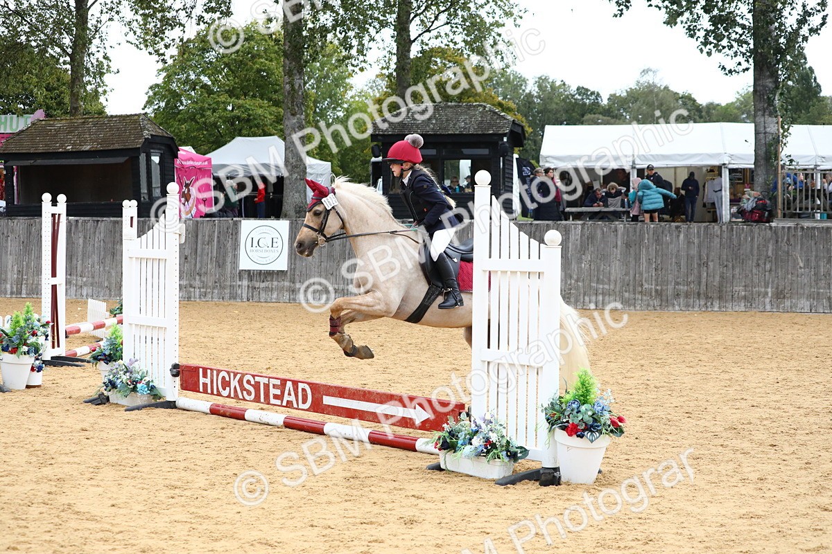 SBM_68163 - J3b - Mini Tour Junior Pony 40cm Championship