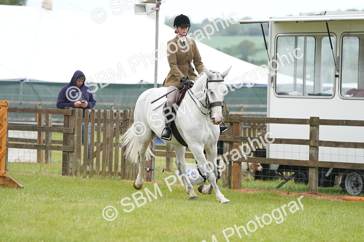 SBM_12685 - Class 97-98 - LIHS BSHA Rising Star Working Show Horse Hunter