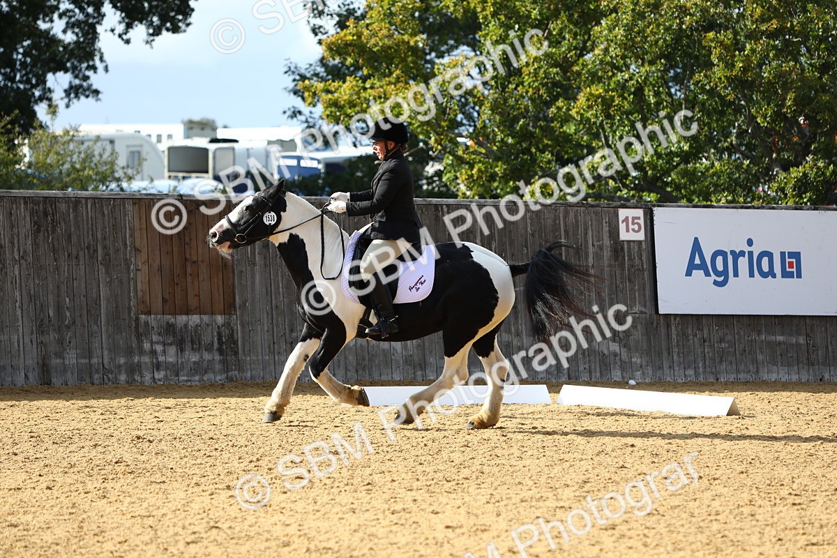 SBM_26741 - D11 - Small Tour Championship Prelim 1