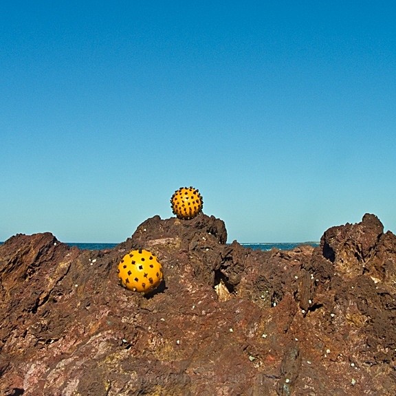  - STILL LIFE IN LANDSCAPE